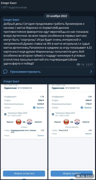 «Спорт Енот» — ставки на спорт в Телеграм, реальные отзывы о Sport Enot